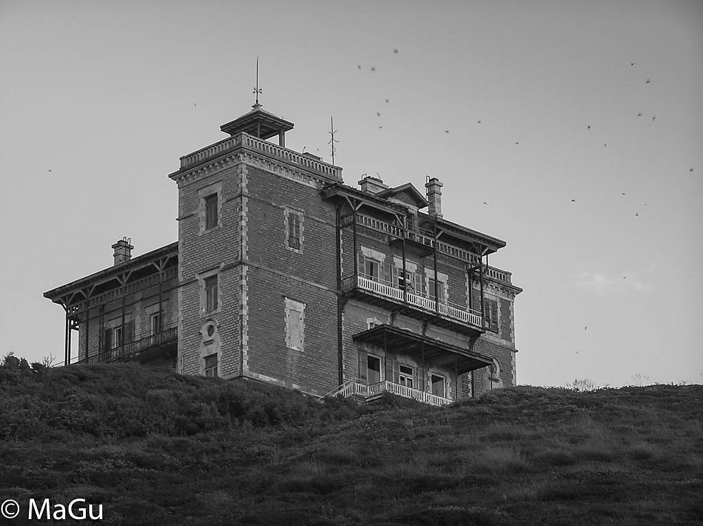 export-050527-21-22-35.jpg